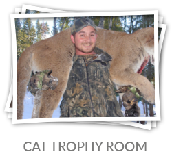 cat-trophy-room