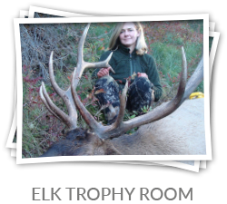 elk-trophy-room