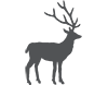 grid-deer